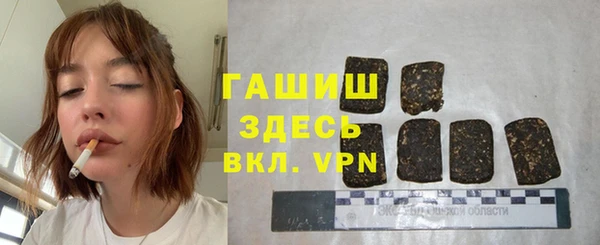 индика Тихвин