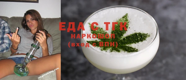 индика Тихвин