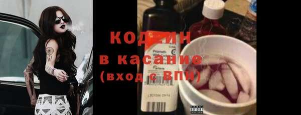 индика Тобольск