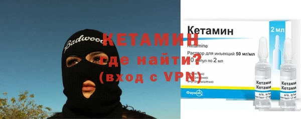 индика Тобольск