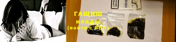 индика Тобольск